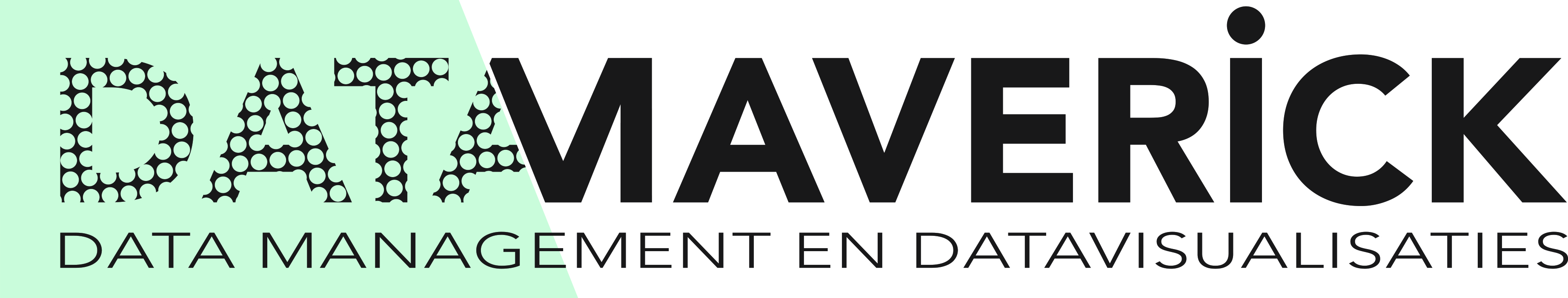 Datamaverick Logo